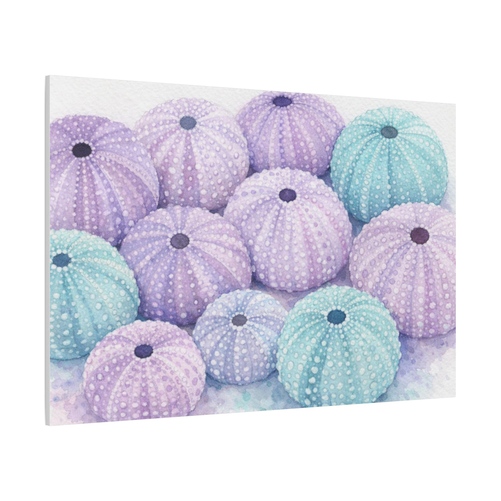 Pastel Sea Urchin Canvas Wall Art — Stretched Matte 1.25"