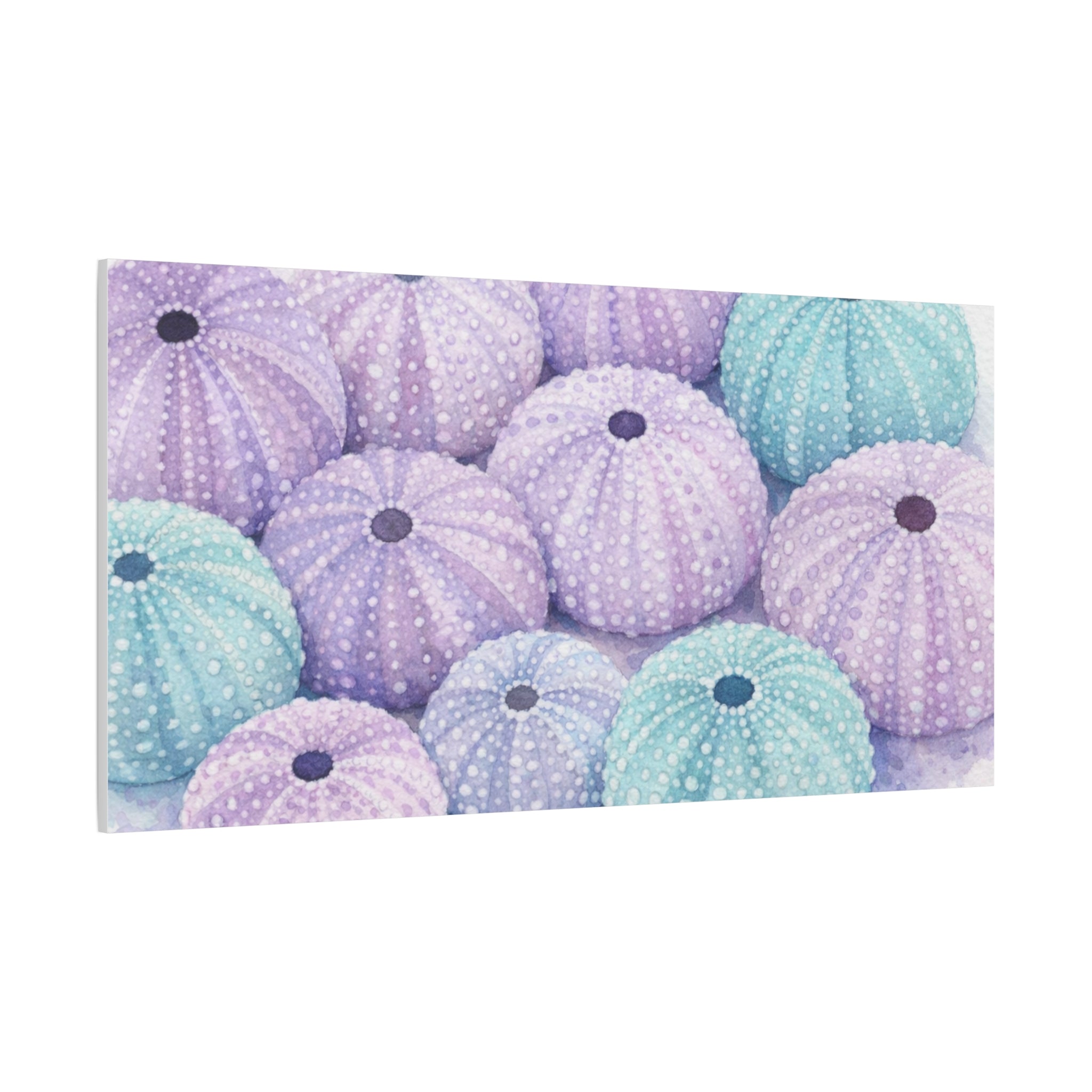 Pastel Sea Urchin Canvas Wall Art — Stretched Matte 1.25"