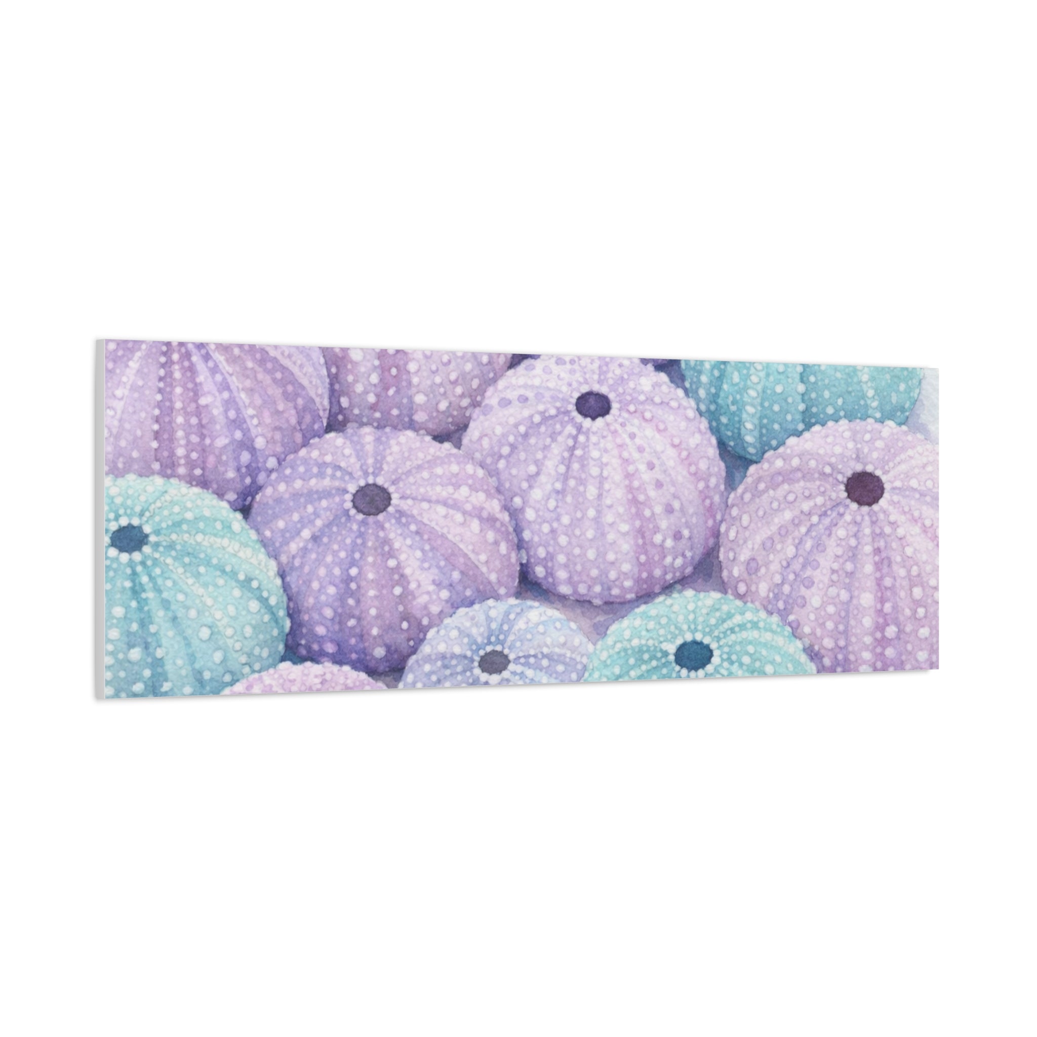 Pastel Sea Urchin Canvas Wall Art — Stretched Matte 1.25"